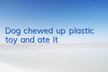 Dog chewed up plastic toy and ate it
