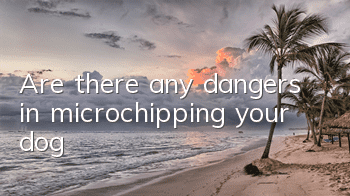 Are there any dangers in microchipping your dog?