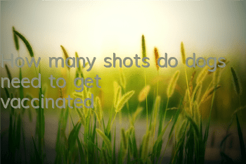How many shots do dogs need to get vaccinated?