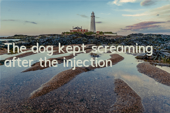 The dog kept screaming after the injection