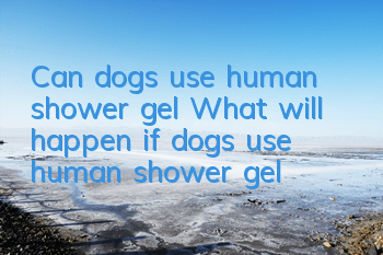 Can dogs use human shower gel? What will happen if dogs use human shower gel?