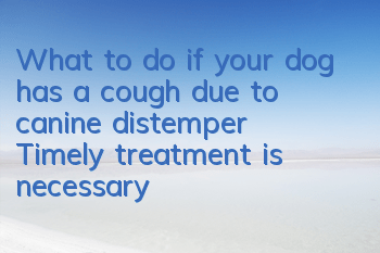 What to do if your dog has a cough due to canine distemper? Timely treatment is necessary!