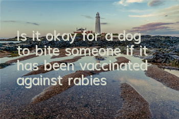 Is it okay for a dog to bite someone if it has been vaccinated against rabies?