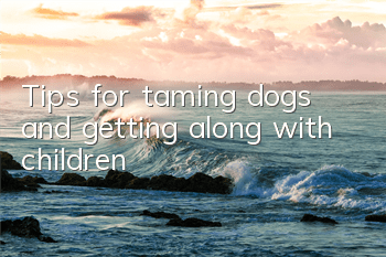Tips for taming dogs and getting along with children