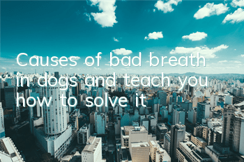 Causes of bad breath in dogs and teach you how to solve it