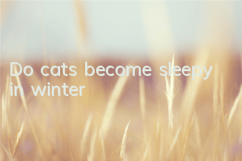 Do cats become sleepy in winter?