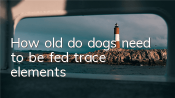 How old do dogs need to be fed trace elements?