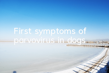 First symptoms of parvovirus in dogs