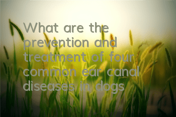 What are the prevention and treatment of four common ear canal diseases in dogs?