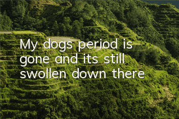 TMy dog’s period is gone and it’s still swollen down there