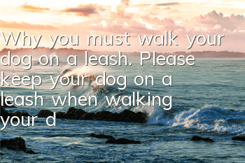 Why you must walk your dog on a leash. Please keep your dog on a leash when walking your dog to avoid negative consequences.