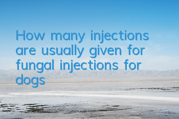 THow many injections are usually given for fungal injections for dogs?