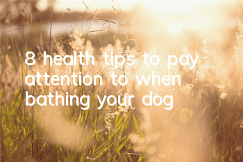 8 health tips to pay attention to when bathing your dog!