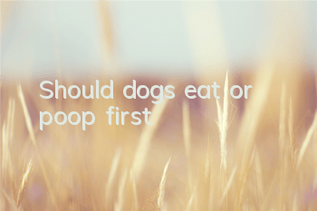 Should dogs eat or poop first?
