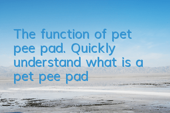 The function of pet pee pad. Quickly understand what is a pet pee pad?
