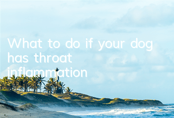 TWhat to do if your dog has throat inflammation