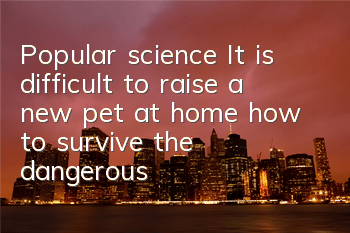 Popular science: It is difficult to raise a new pet at home, how to survive the dangerous period?