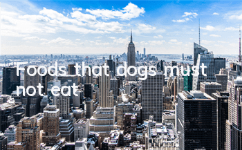 Foods that dogs must not eat