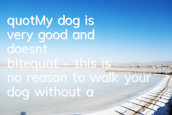 "My dog ​​is very good and doesn't bite" - this is no reason to walk your dog without a leash!