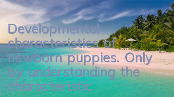 Developmental characteristics of newborn puppies. Only by understanding the characteristics can you better raise dogs.