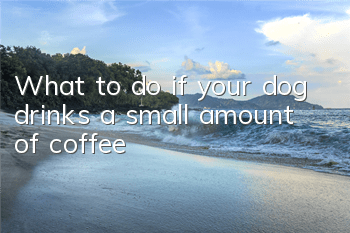 What to do if your dog drinks a small amount of coffee