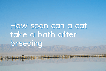 How soon can a cat take a bath after breeding?