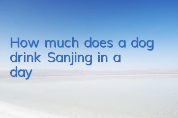 How much does a dog drink Sanjing in a day?
