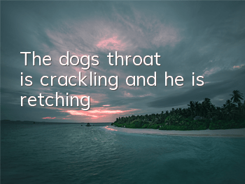 The dog's throat is crackling and he is retching
