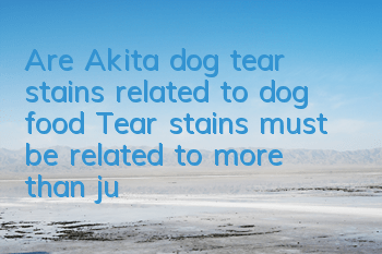 Are Akita dog tear stains related to dog food? Tear stains must be related to more than just dog food!