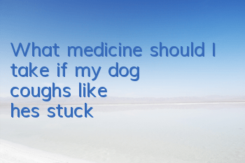 What medicine should I take if my dog ​​coughs like he's stuck?