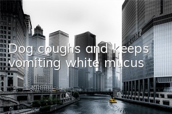 Dog coughs and keeps vomiting white mucus