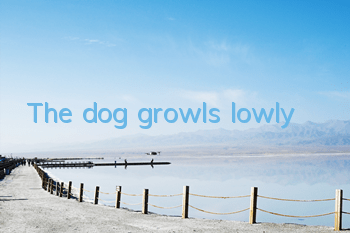 The dog growls lowly
