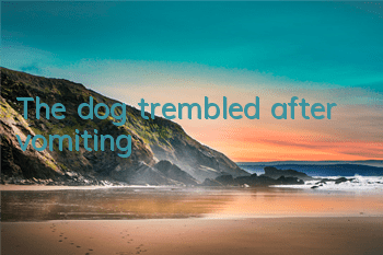 The dog trembled after vomiting