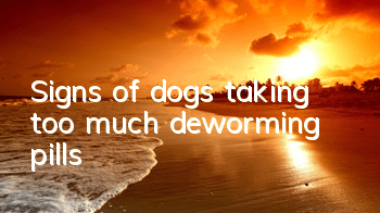 Signs of dogs taking too much deworming pills