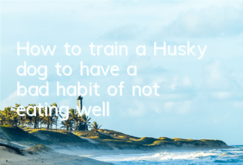 How to train a Husky dog ​​to have a bad habit of not eating well?