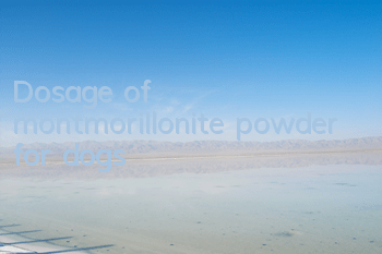 Dosage of montmorillonite powder for dogs
