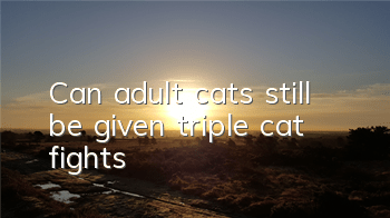 Can adult cats still be given triple cat fights?