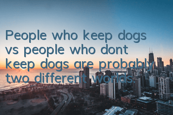 People who keep dogs vs people who don’t keep dogs are probably two different worlds.