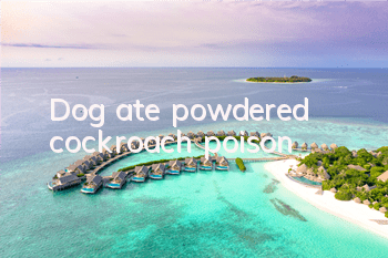 Dog ate powdered cockroach poison