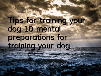 Tips for training your dog 10 mental preparations for training your dog