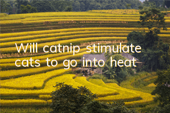 Will catnip stimulate cats to go into heat?