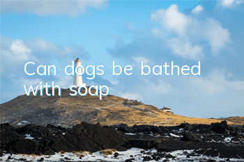 Can dogs be bathed with soap?