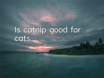Is catnip good for cats?