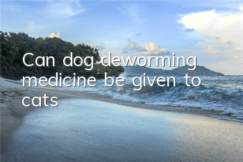 TCan dog deworming medicine be given to cats?