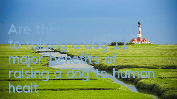 Are there any benefits to raising a dog? 11 major benefits of raising a dog to human health. Dog owners are blessed.