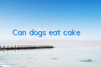 TCan dogs eat cake?