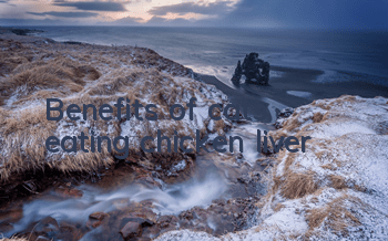 Benefits of cats eating chicken liver