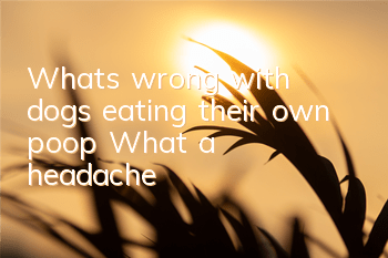What's wrong with dogs eating their own poop? What a headache~~
