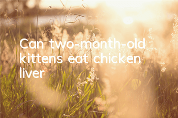 Can two-month-old kittens eat chicken liver?