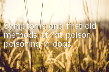 Symptoms and first aid methods of rat poison poisoning in dogs